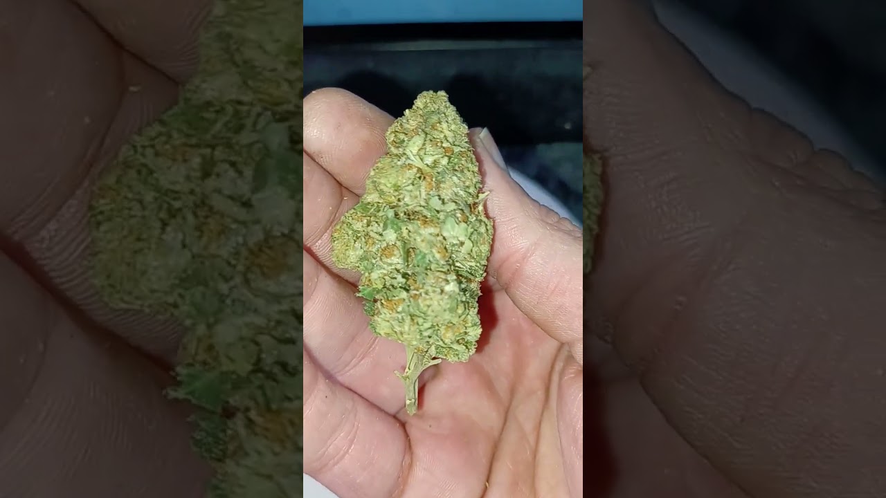 Modified Grapes, THCA/CBD hemp, @AreteHemp  (is it good?)
