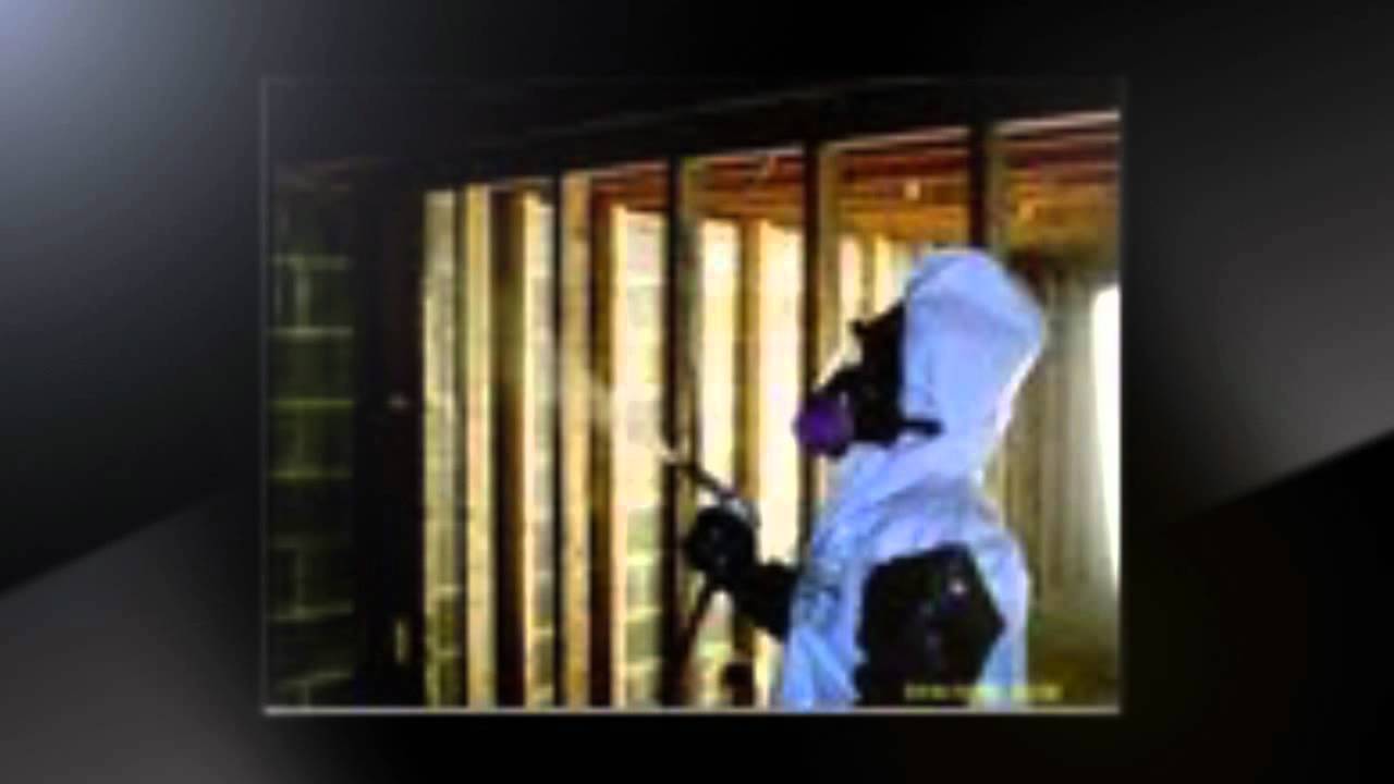 Best Mold Removal Company. Safe, Natural, Fast and Cheap Mold Remediation for your home