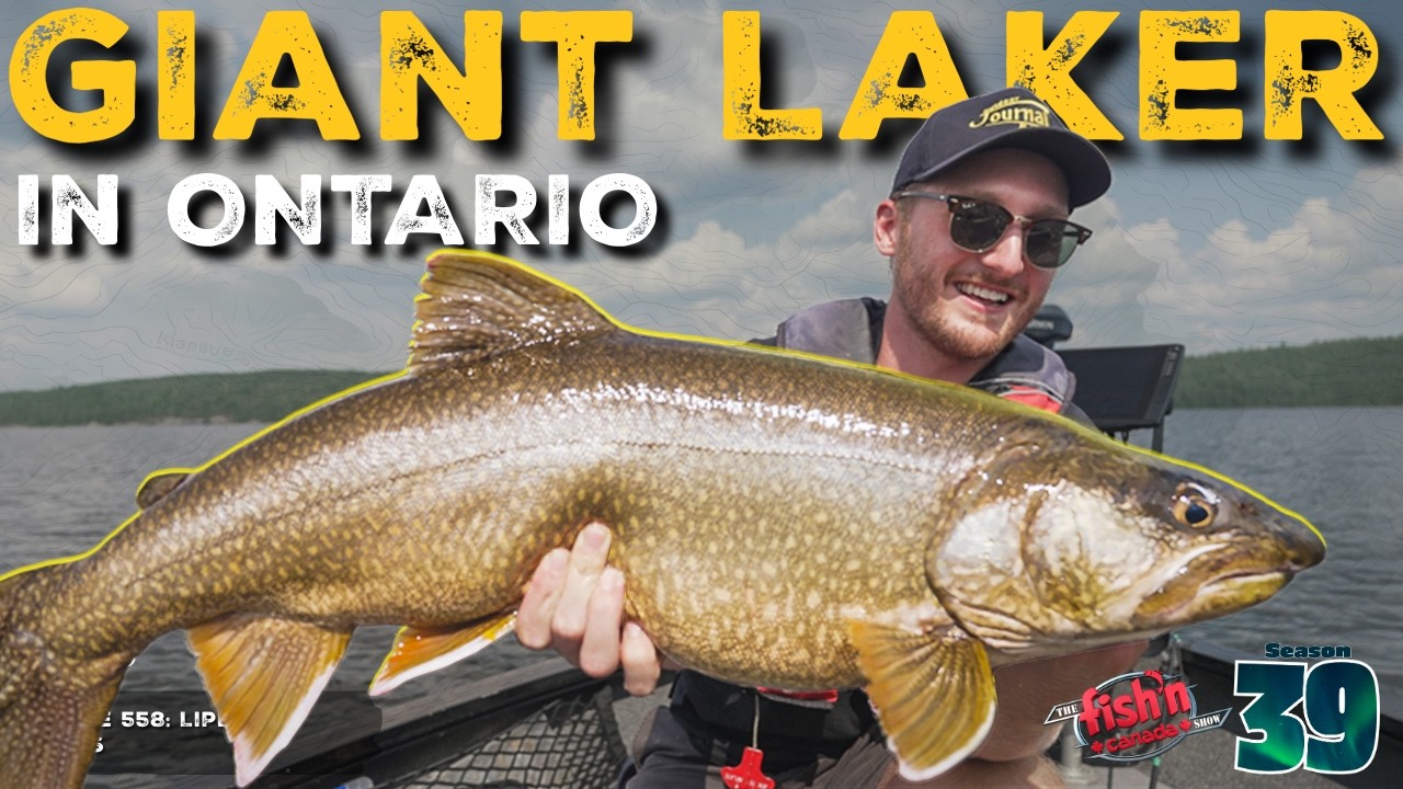 GIANT Laker on LIVESCOPE! | The Fish'n Canada Show