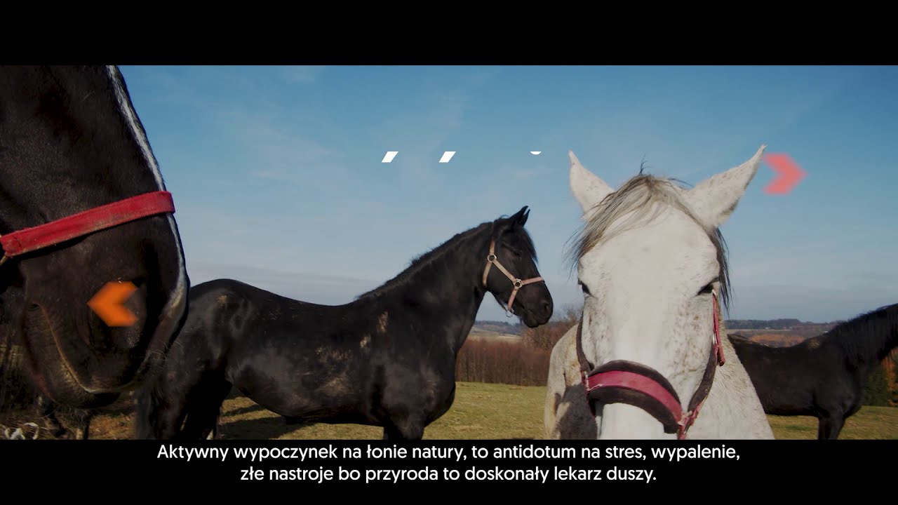 Nowoczesne Podkarpackie: Siedlisko Janczar