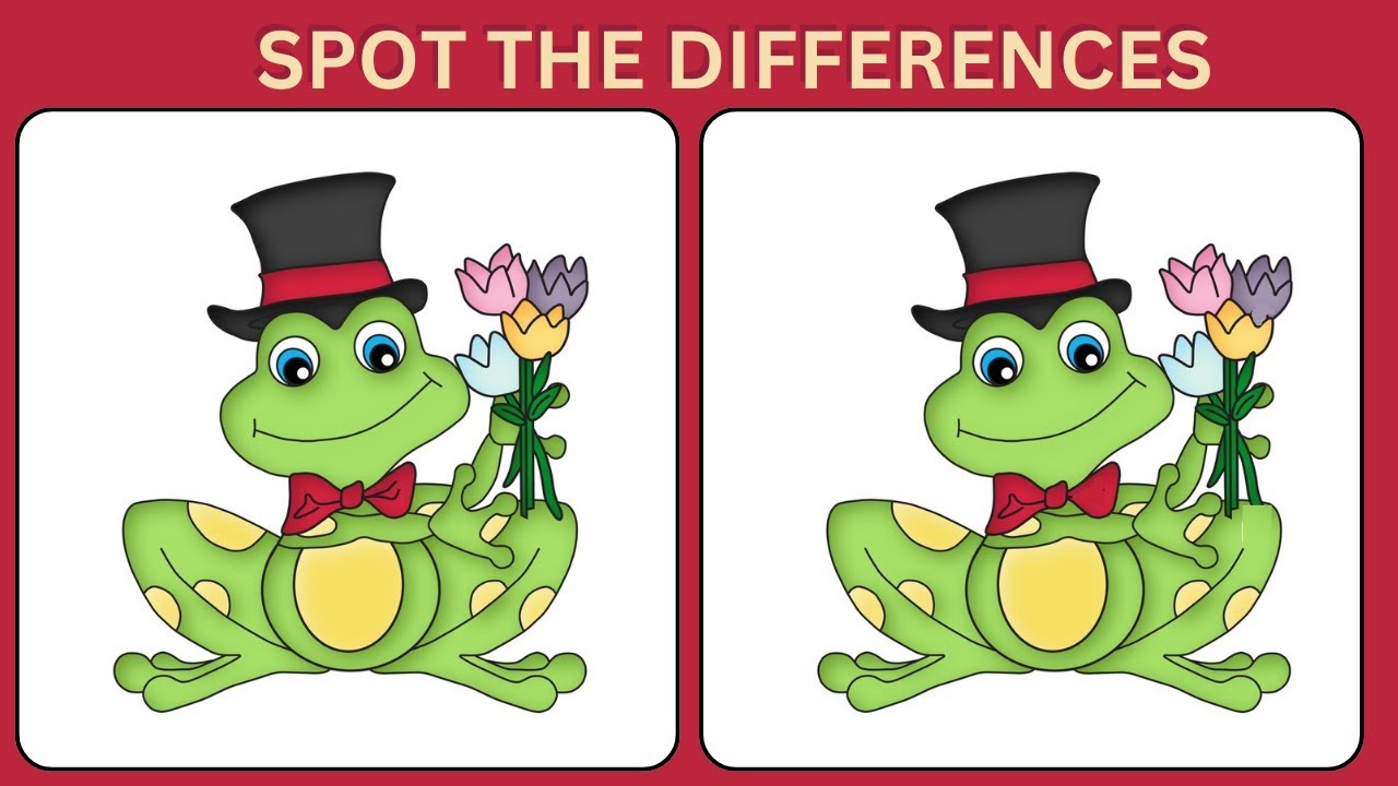 SPOT THE DIFFERENCES, 