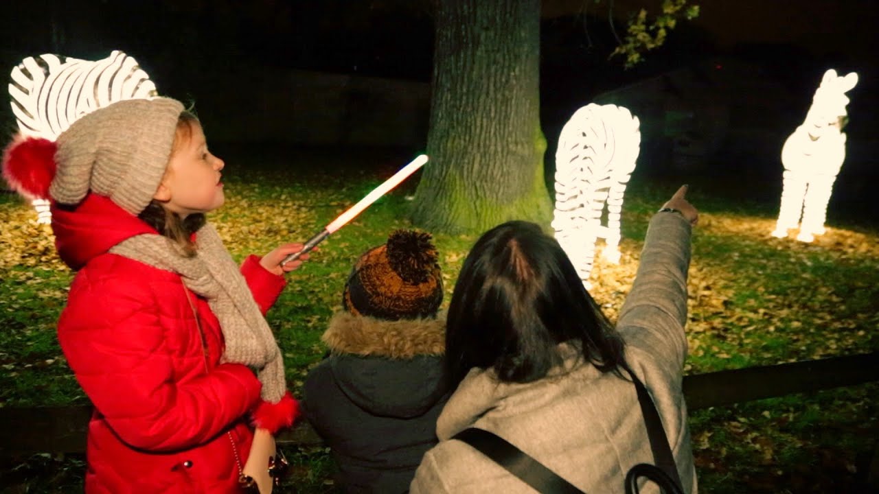 We take you to Enchanted at Knowsley Safari | The Guide Liverpool