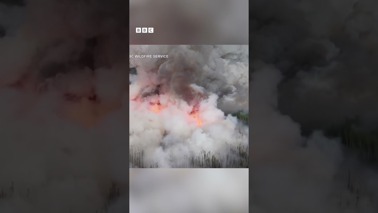 How Canada's wildfires are affecting people in the United States | Newsround