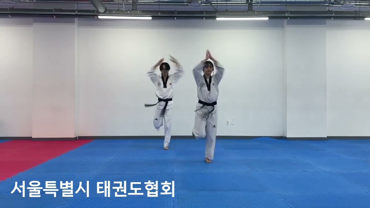 유품자태권체조 아파트