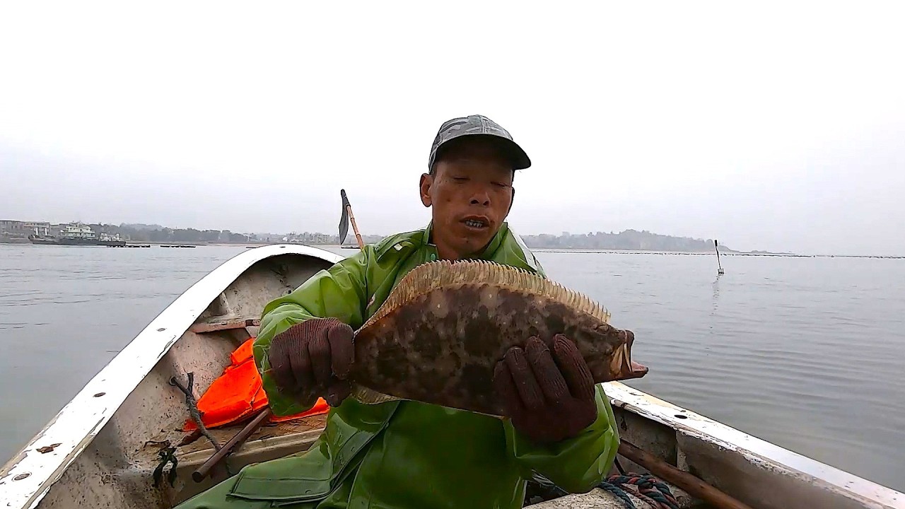 去收早上放的几包网，抓到皇帝鱼拉上来一个锚，差点要了我的老命