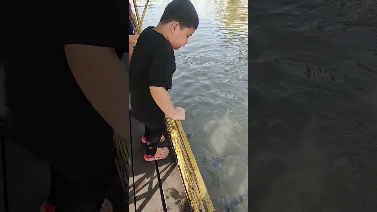 ปลาโลมาเต็มไปหมด ปรางค์ทิพย์บอก🤣😂 ปลาตัวใหญ่มากเลย 