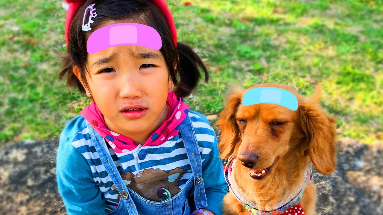 The boo boo song 手当ごっこ！公園でみのちゃんと犬のナッツがあそぶよ　boo boo story