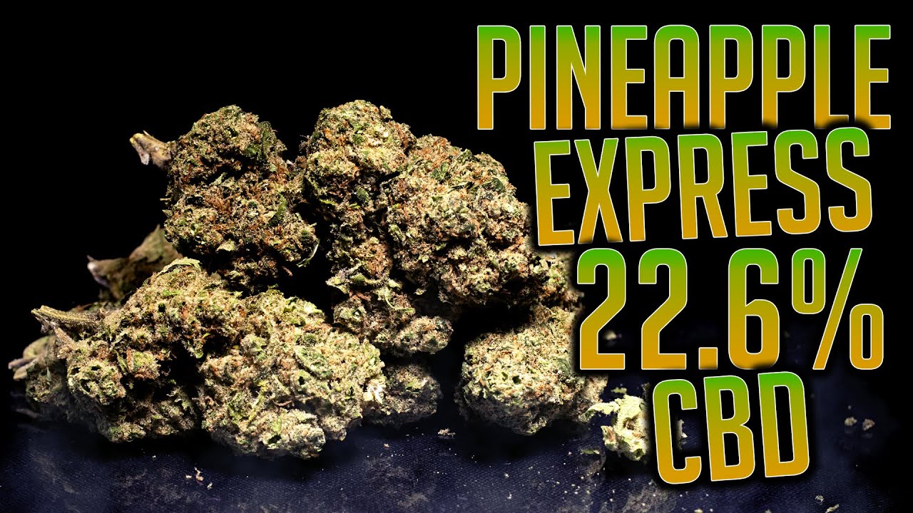 PINEAPPLE EXPRESS 22.6% CBD | Buzzing Buddha