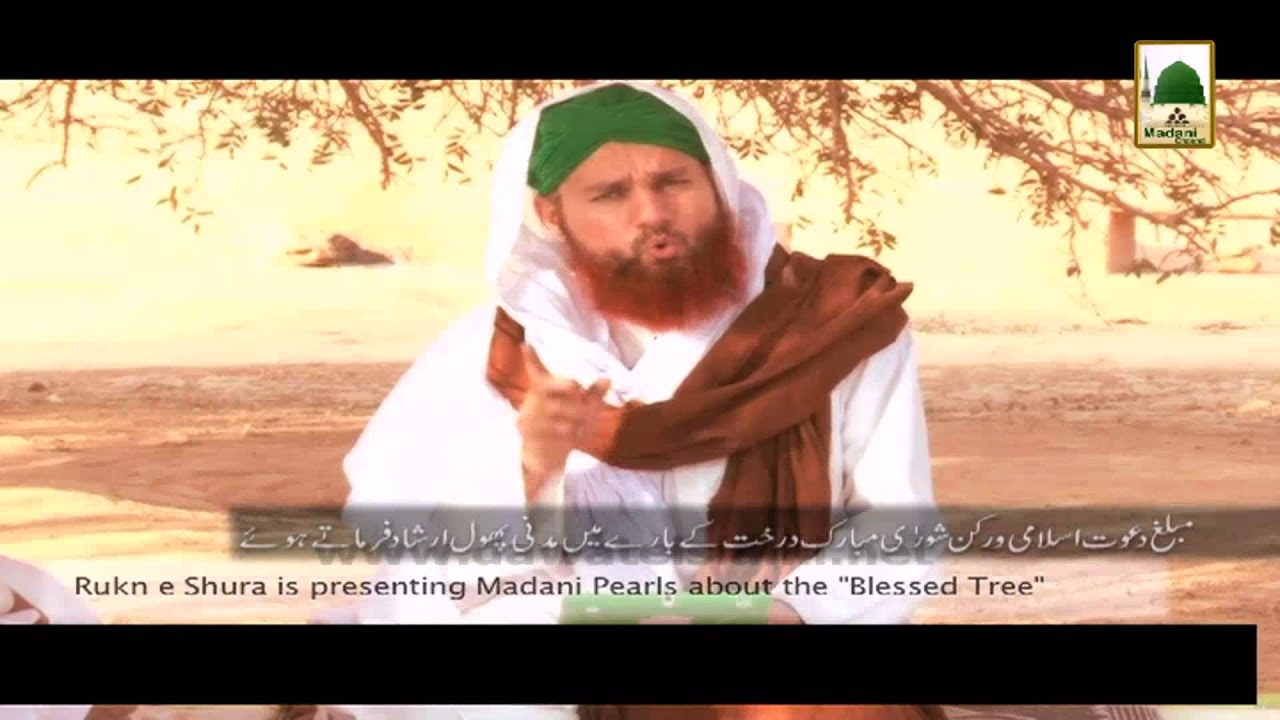 Ziyarat-e-Muqamat-e-Muqaddasa Ep# 30 -  Mubarak Darakht (1)