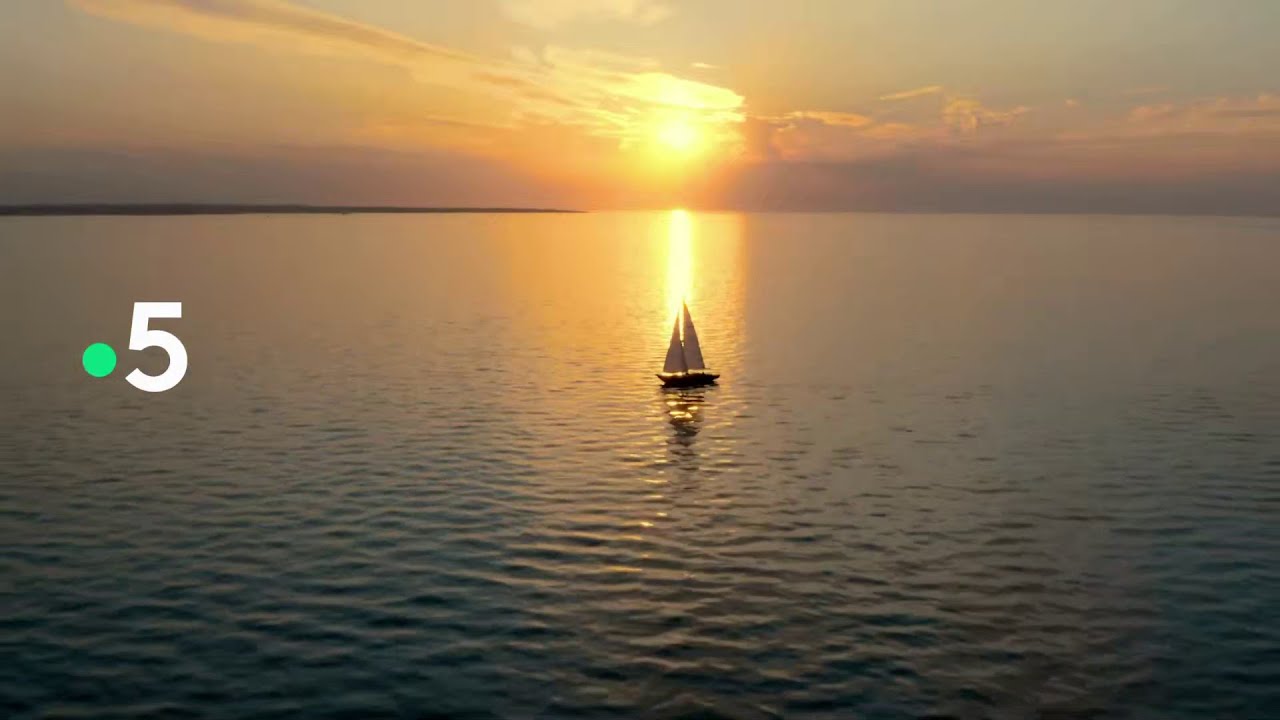 France 5 HD (France) - Continuity (2022 October 28)