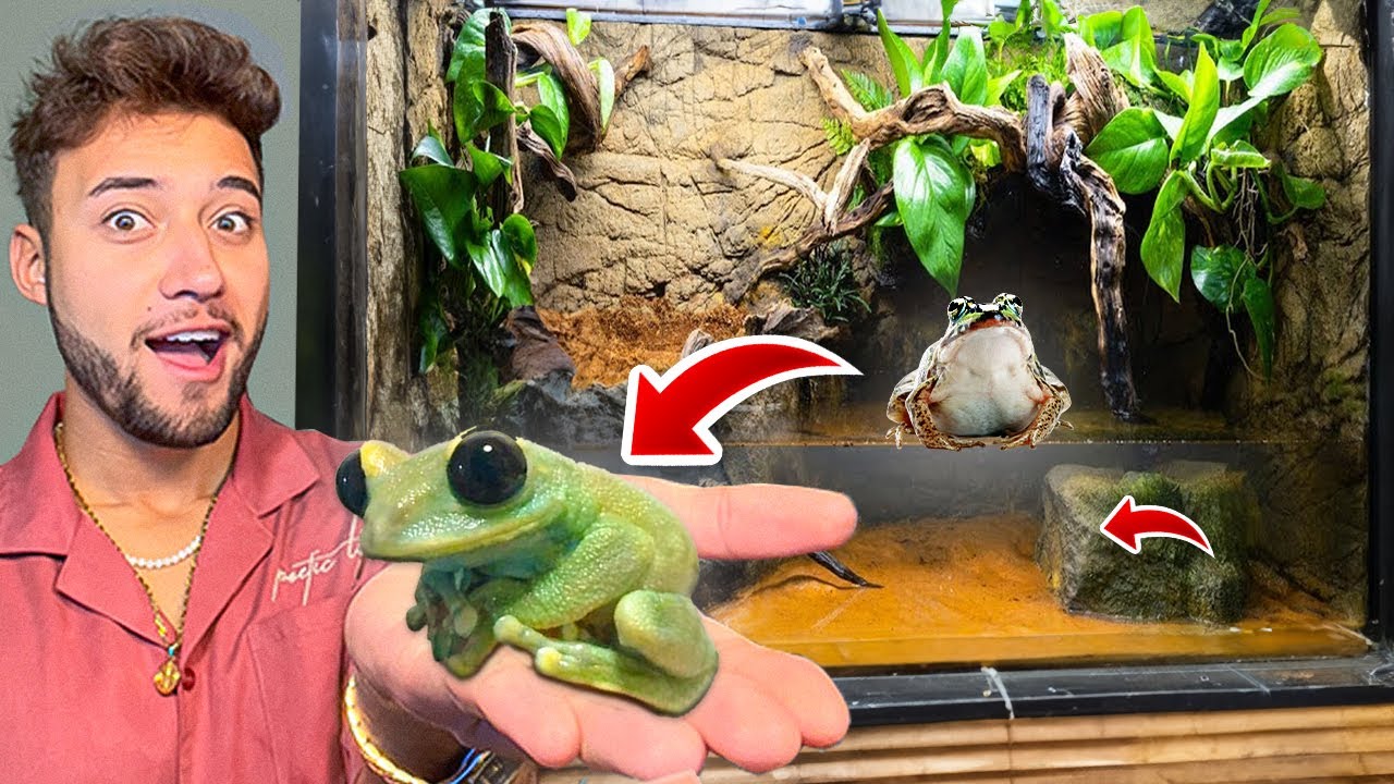 FIZ uma CASA NATURAL para MEU EXÉRCITO de SAPOS