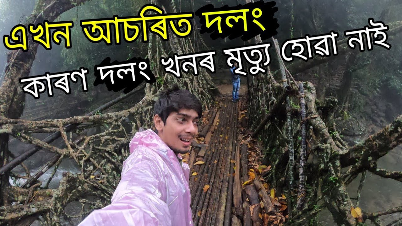 Living root bridge - এখন জীয়াই থকা দলংৰ ৰহস্য