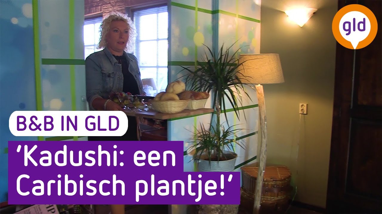B&B in GLD - Met een wel heel speciale keuken - Kadushi