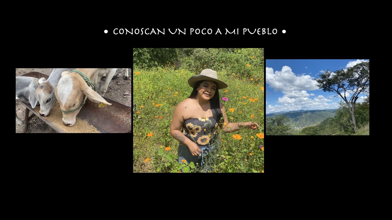 UN DIA EN TOTOMOCHAPA GUERRERO!