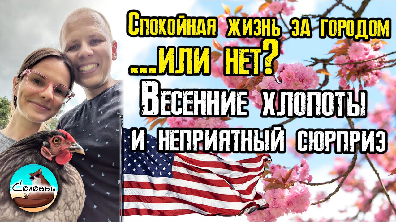 Спокойная жизнь за городом...или нет? Весенние хлопоты и неприятный сюрприз