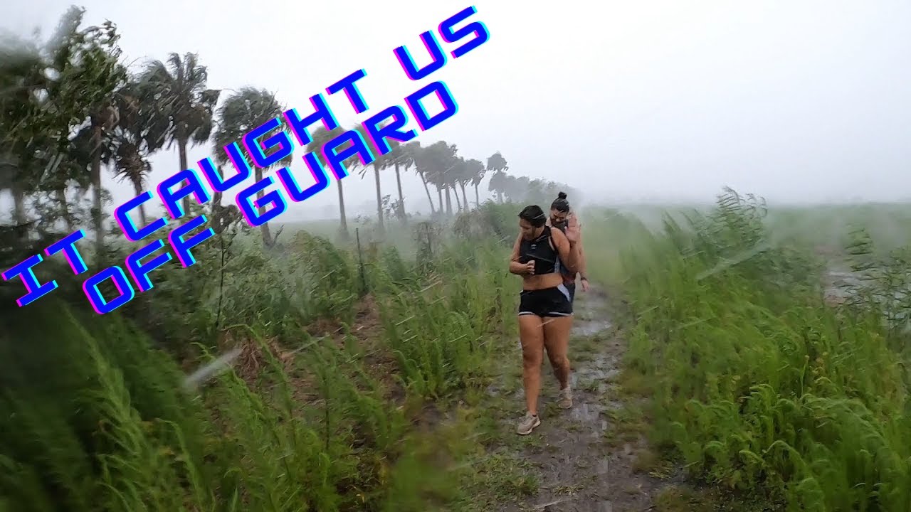 Didn&rsquo;t Expect that at Paynes Prairie Park