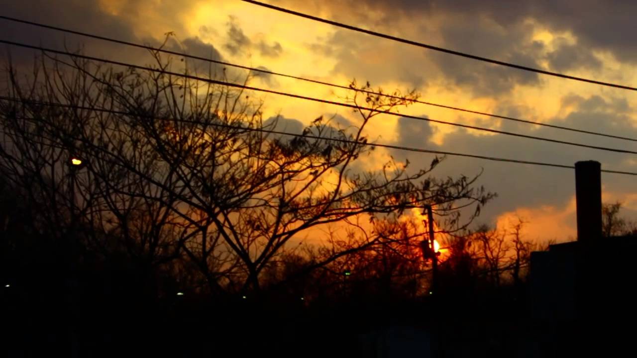 MURRRLAND - THE INTRO