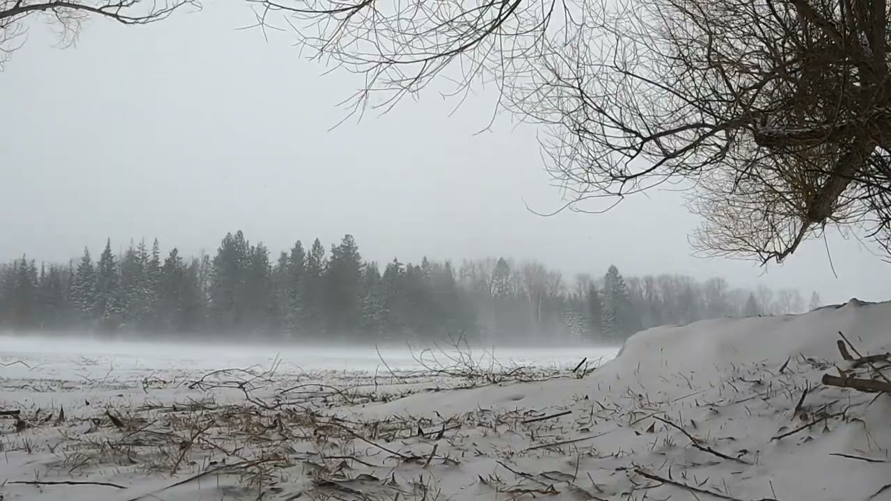 Time-lapse Sandpoint Idaho Snow Storm. ❄️❄️🌬 Real Time At End