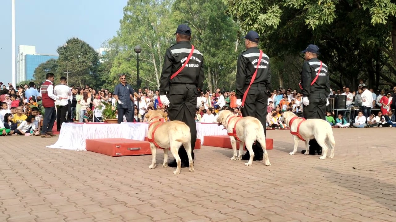 Republic Day @ Magarpatta City 2023