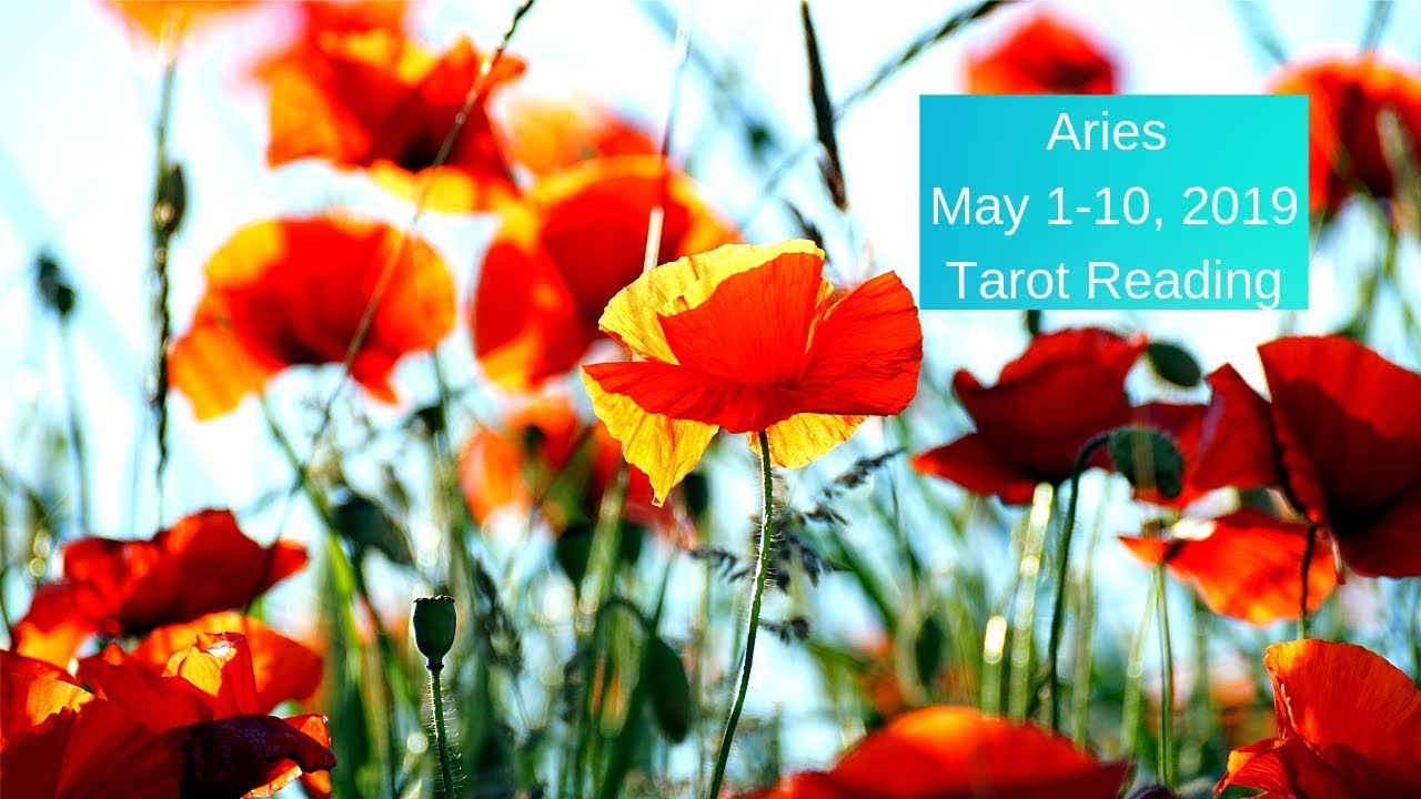 Aries May 1-10 2019 ~ Breaking Boundaries & Claiming Euphoria ~ Tarot Reading