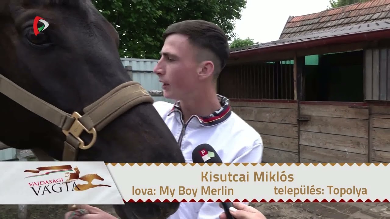 Vajdasági Vágta 2025 - Kisutcai Miklós