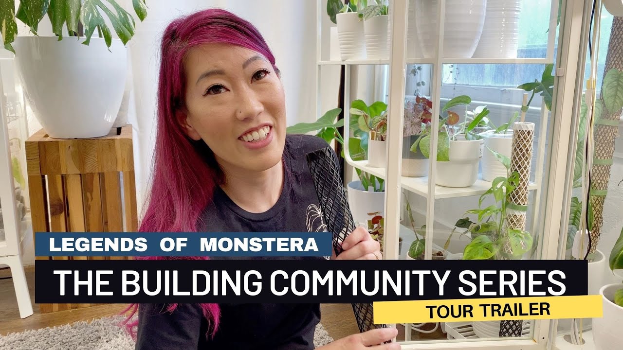 The Building Community Collector Plant Tour Series with @stefsplants TRAILER