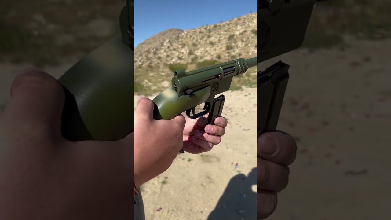 Survival Arms Inc. AR-7 The .22lr you never knew you needed.