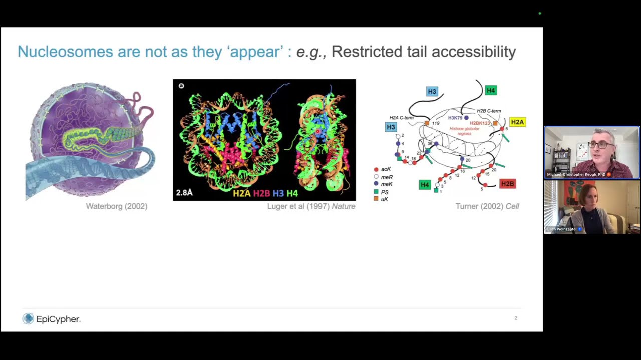 Next generation epigenetic insights with fully-defined nucleosomes