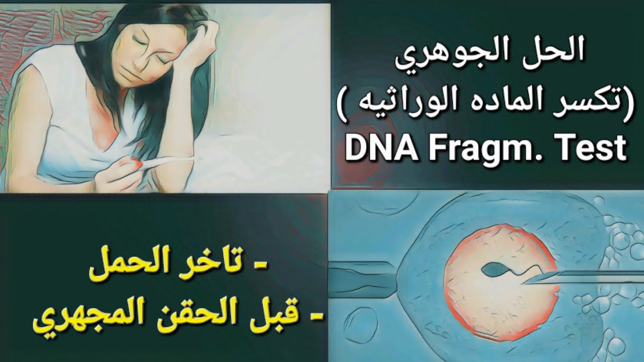 DNA fragmentation test | الحل الجوهري في غياب الحمل و تأخر الإنجاب و الحقن المجهري 👼👶