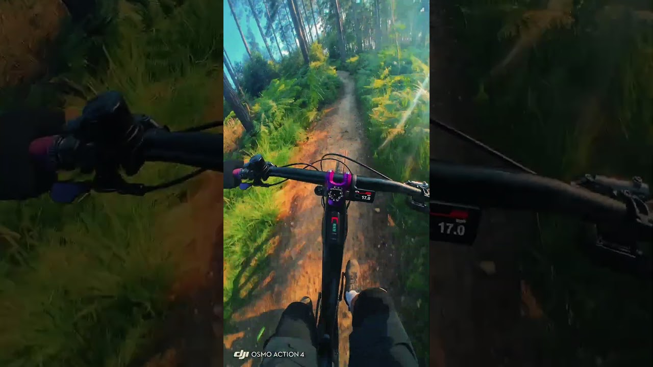 Trail Blasted! 