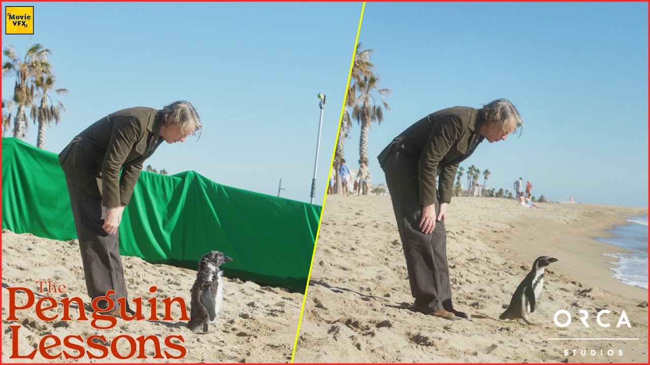The Penguin Lessons - VFX Breakdown by Orca Studios