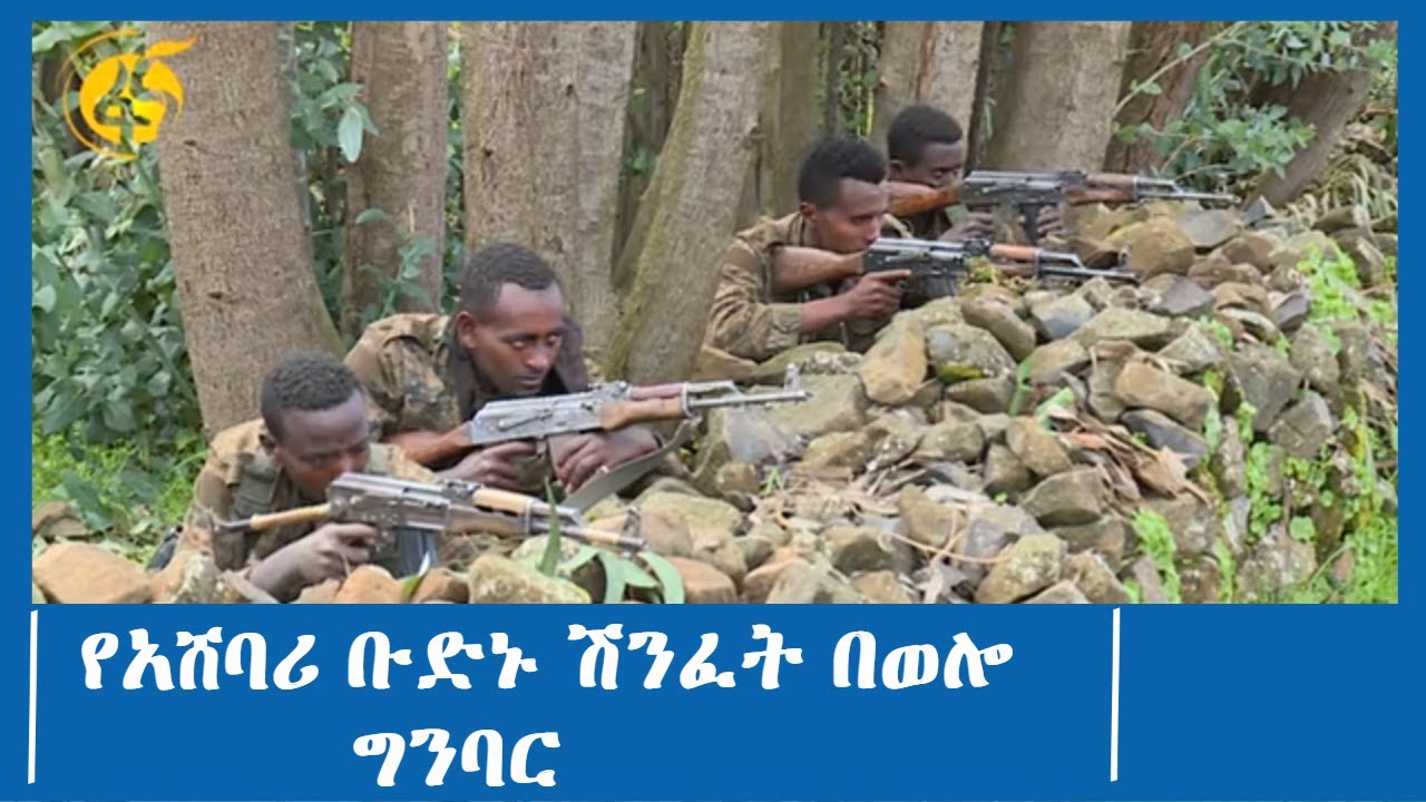 የአሸባሪ ቡድኑ ሽንፈት በወሎ ግንባር