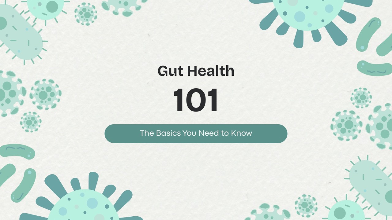 Gut Health 101: What You Actually Need to Know