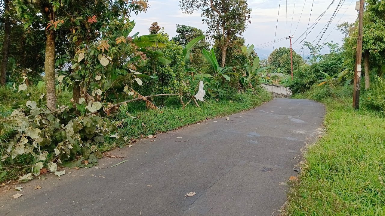 Jual Tanah Pinggir Jalan Kabupaten Cocok Buat Bangun Rumah Villa Luas Tanah 450 M² Harga 165 Juta. 