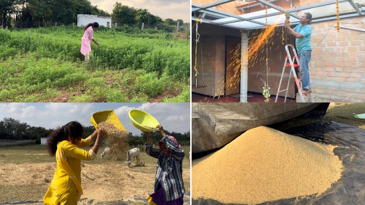 వరి నాట్ల నుండి ధాన్యం సేకరణ వరకు మేము పెట్టిన ఖర్చు || farmhouse courtyard works || madhuvanam
