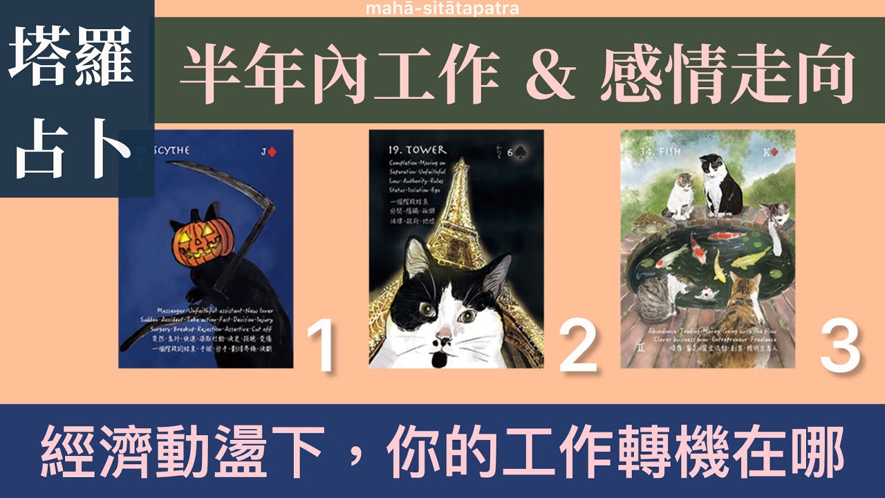 🔮經濟動盪，你的轉機在哪？工作 & 感情未來半年走向 ｜#喵黛麗塔羅 ❗️此頻道是唯一占卜頻道，其他平台均屬詐騙⚠️