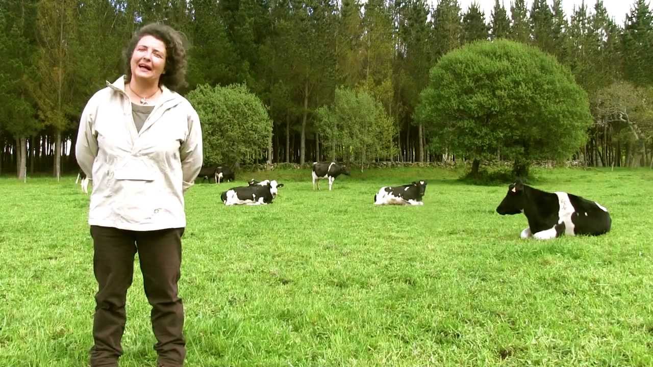 Granxa Maruxa - Galletas de Nata & Leche Ecológica - Bienvenidos al Campo