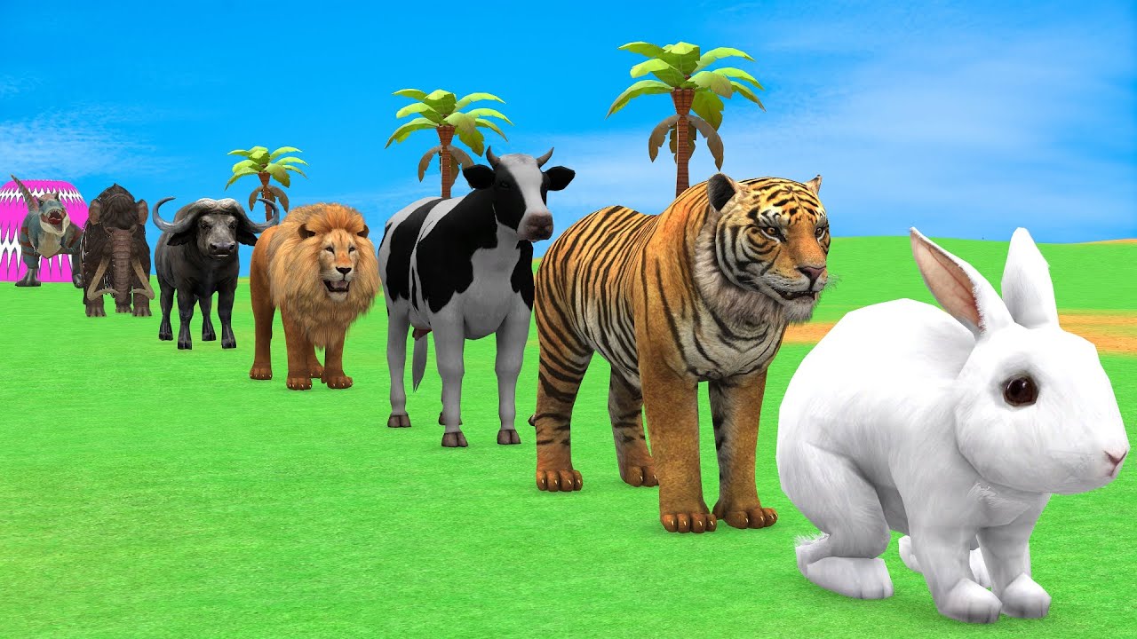 Long Slide Game with Cow Elephant Gorilla Hippopotamus Tiger 3d Animal Game Funny 3d Animals