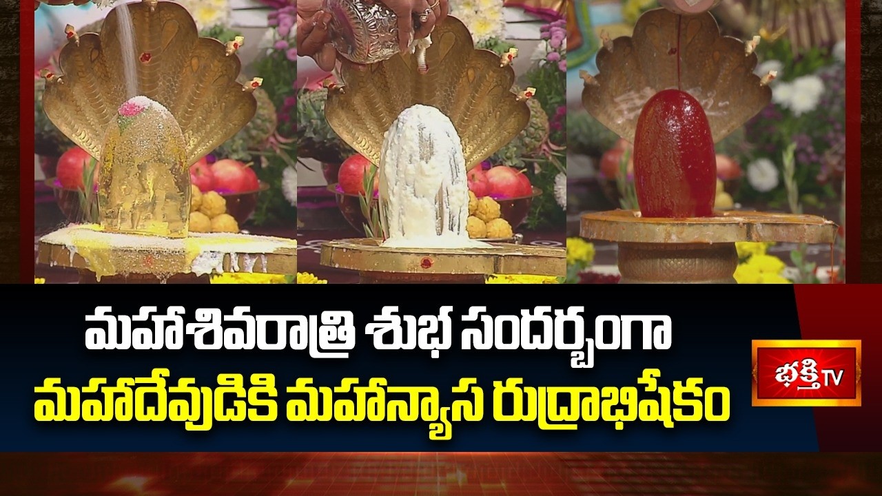 మహాశివరాత్రి శుభ సందర్బంగా మహాదేవుడికి మహాన్యాస రుద్రాభిషేకం | Mahanyasa Rudrabhishekam | Bhakthi TV