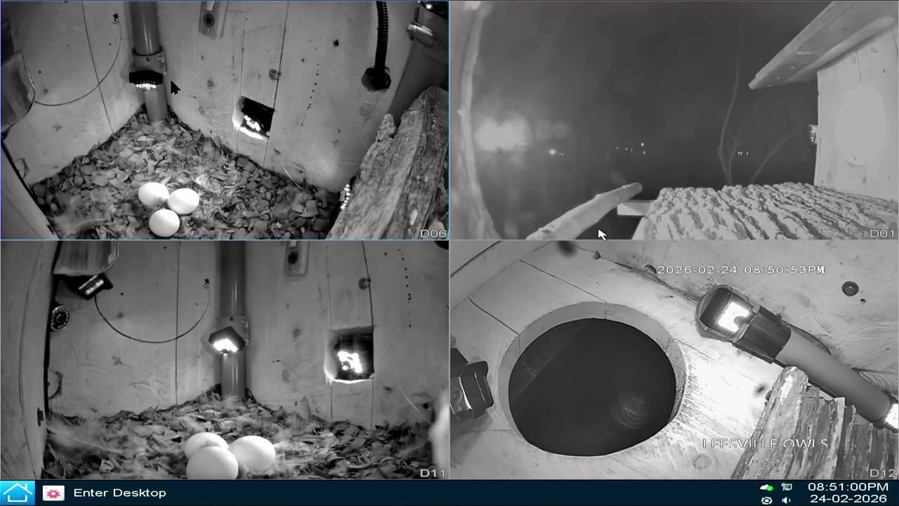 Would Believe 3 Eggs   Leesville Owls   2026 02 24