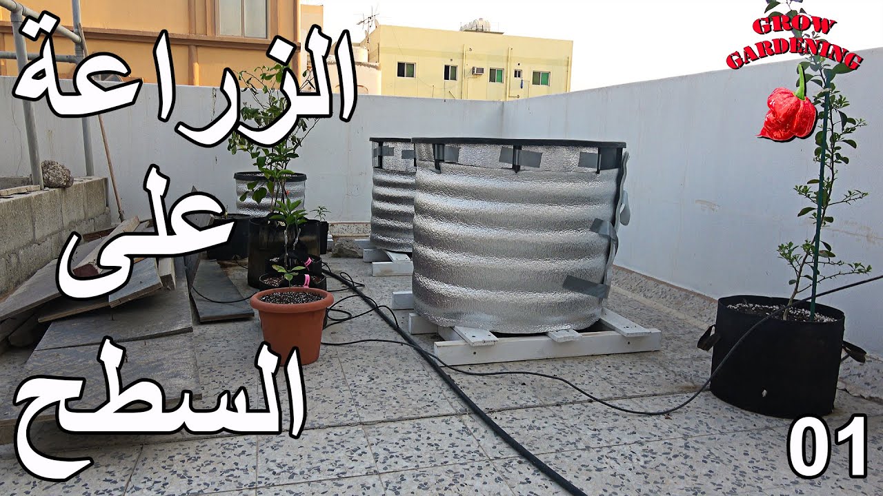 بداية الزراعة على السطح