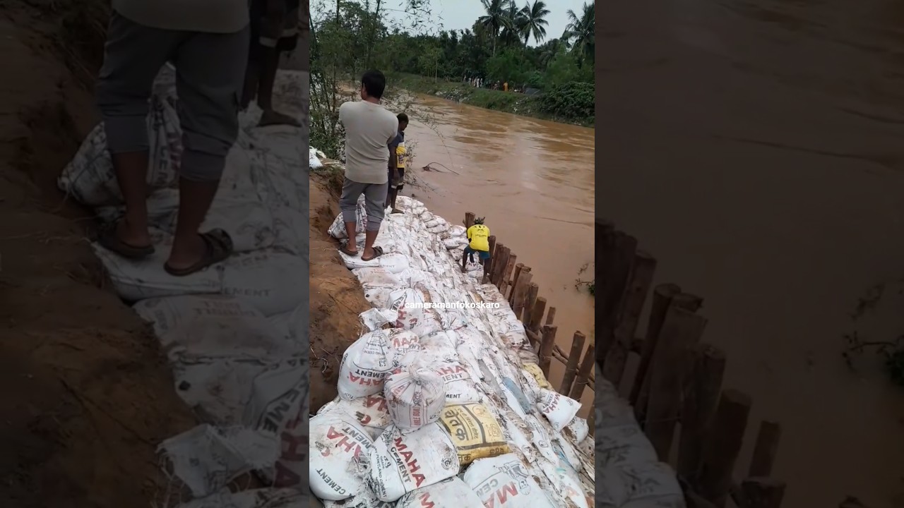 Flood Odisha #short #flood #odisha #jajpur #viralshort