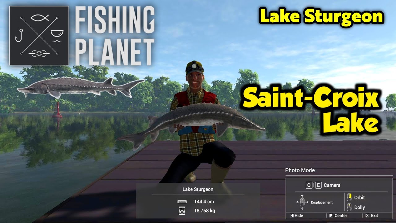 Lake Sturgeon Saint-Croix Lake - Fishing Planet