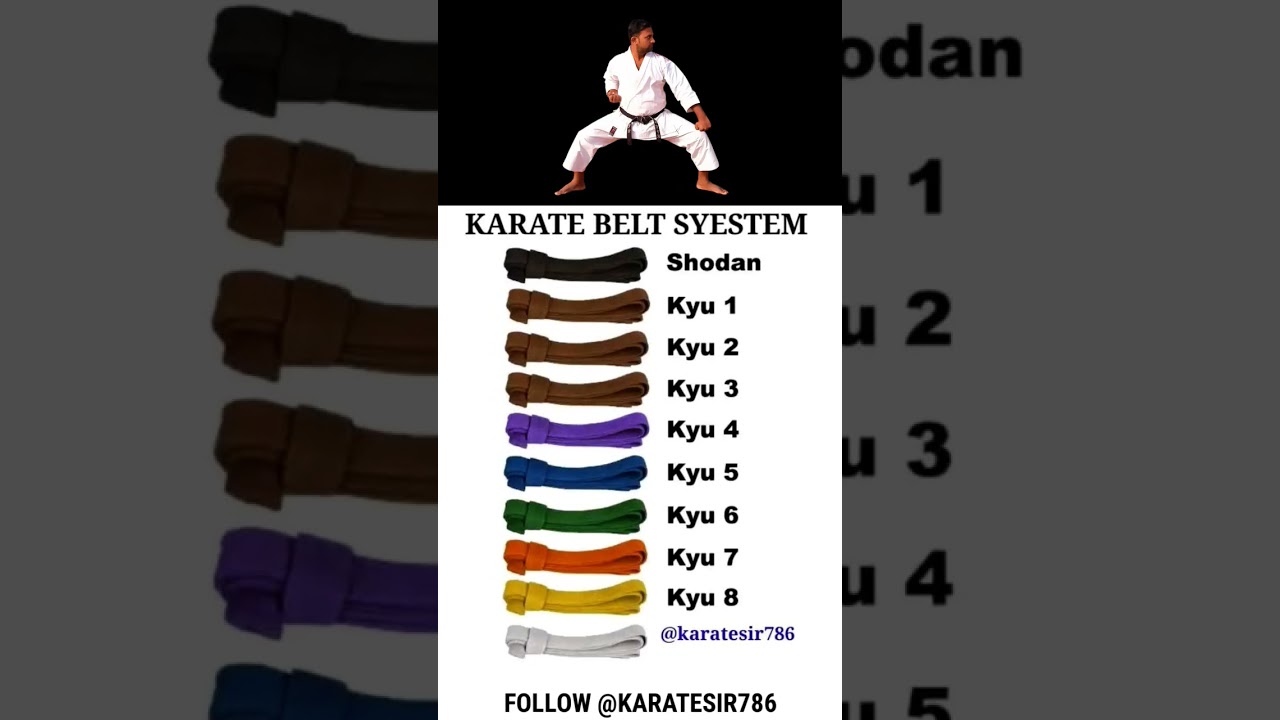 KARATE BELT SYSTEM | #karate #martialarts #karatebelts