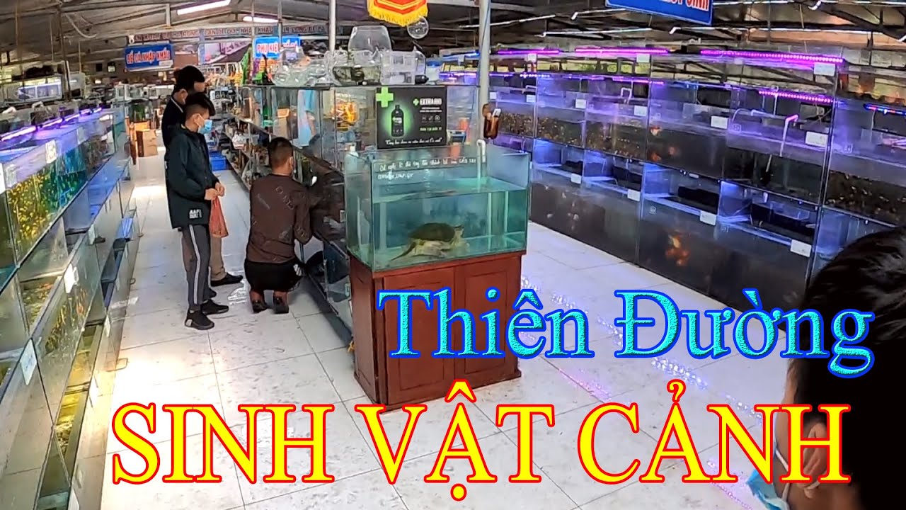 Tham Quan Trại Sinh Vật Cảnh Lớn Nhất Bắc Ninh