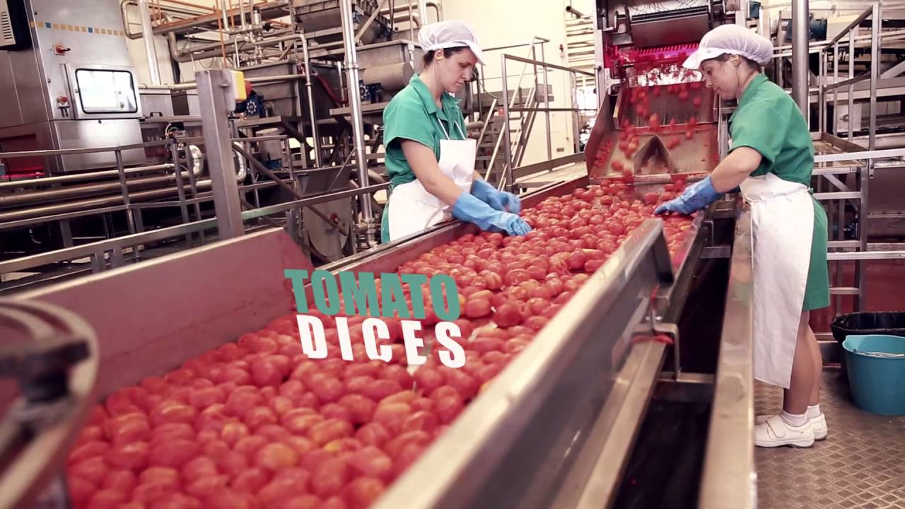Conesa, líder en Transformados de Tomate