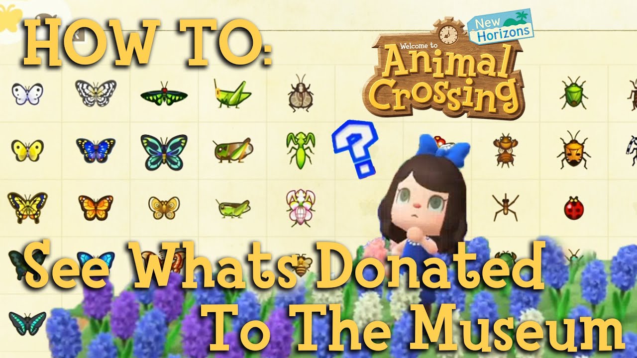 How To See What You've Donated to the Museum - Animal Crossing New Horizons