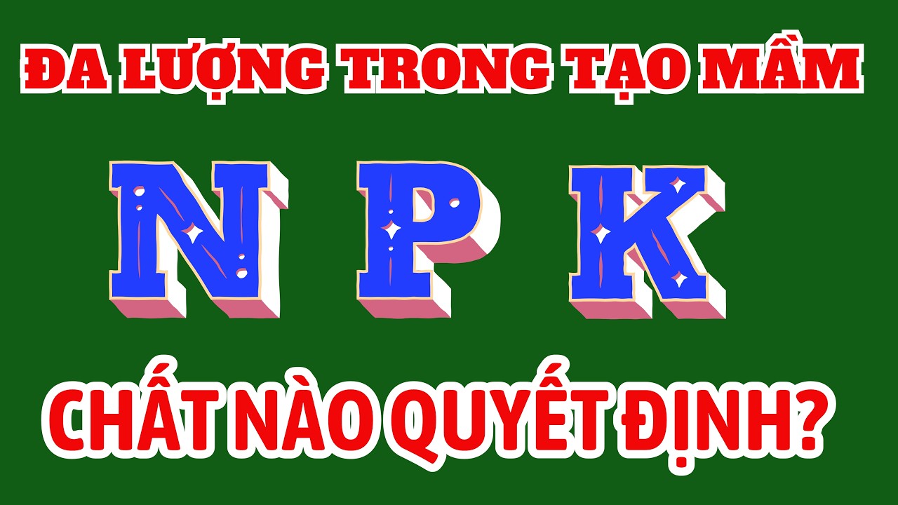 Các chất đa lượng N, P, K trong tạo mầm | Chất nào quyết định tỉ lệ ra hoa?