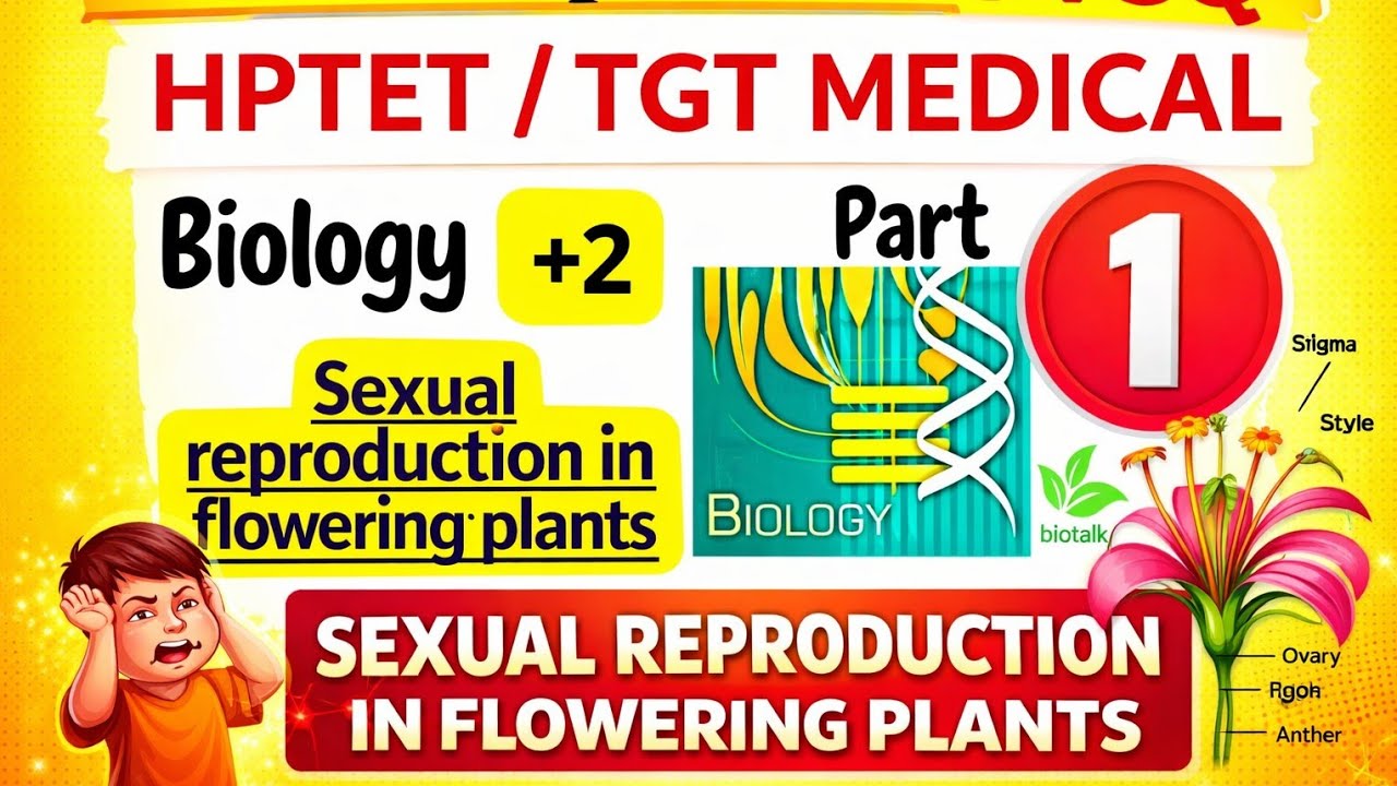 💥HPTET Medical Biology 2026 | Sexual Reproduction in Flowering Plants | Most Important MCQs 