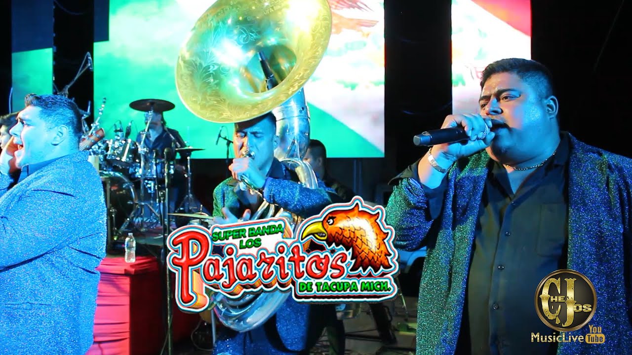Banda Pajaritos de Tacupa | Presentación, Juan Colorado, El amor no se vende, Una Aventura Tlalchapa